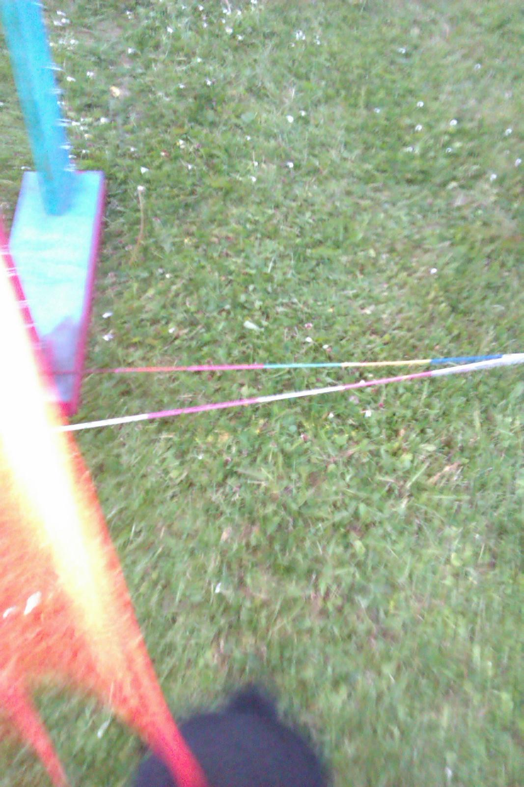 Kanin Momse billede 15