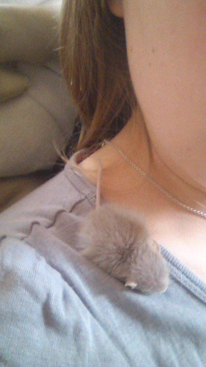 Ørkenrotte Flüte billede 5