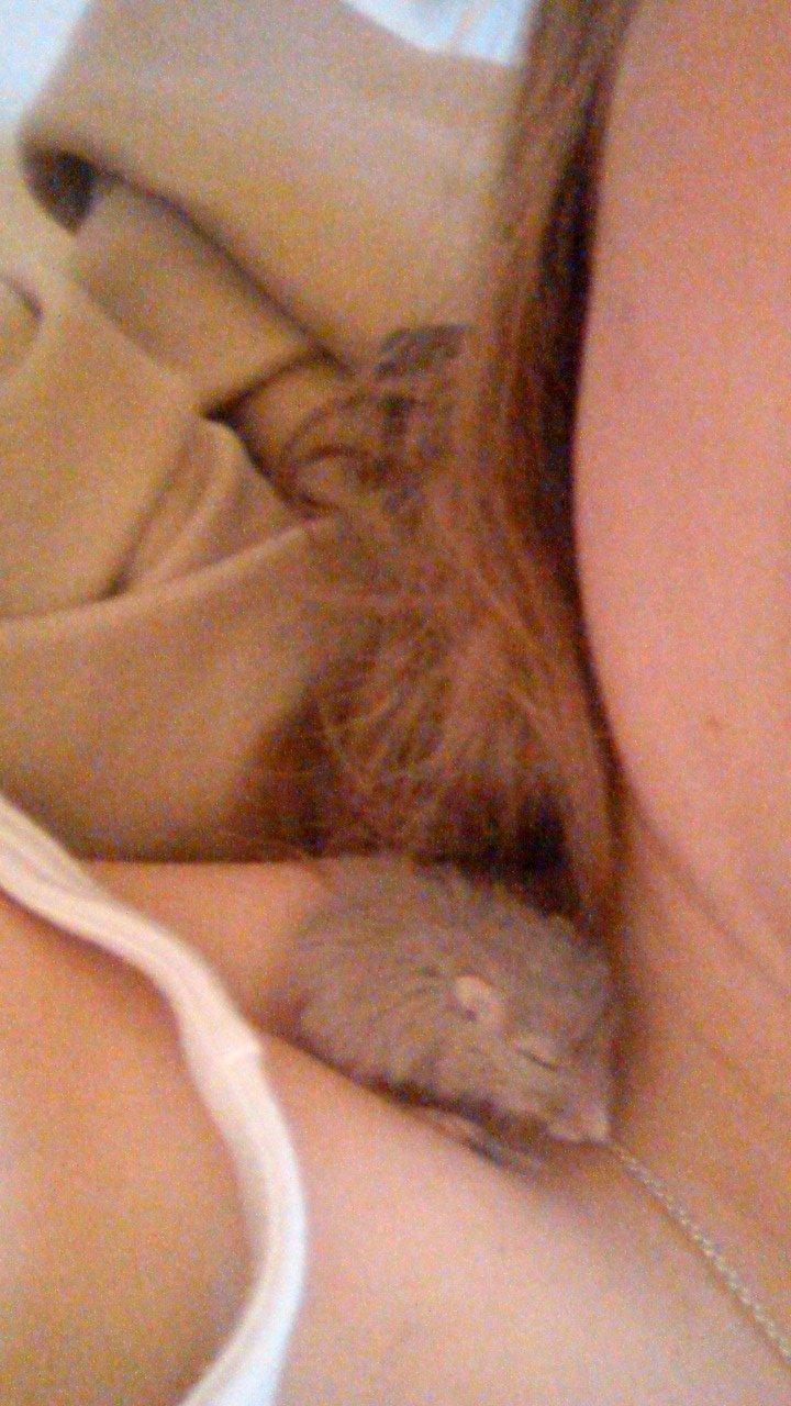 Ørkenrotte Flüte billede 7