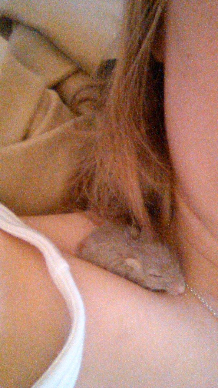 Ørkenrotte Flüte billede 8