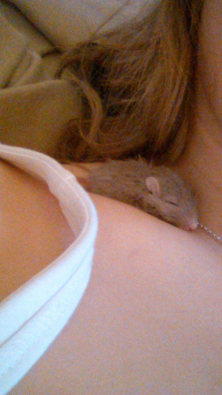 Ørkenrotte Flüte billede 9