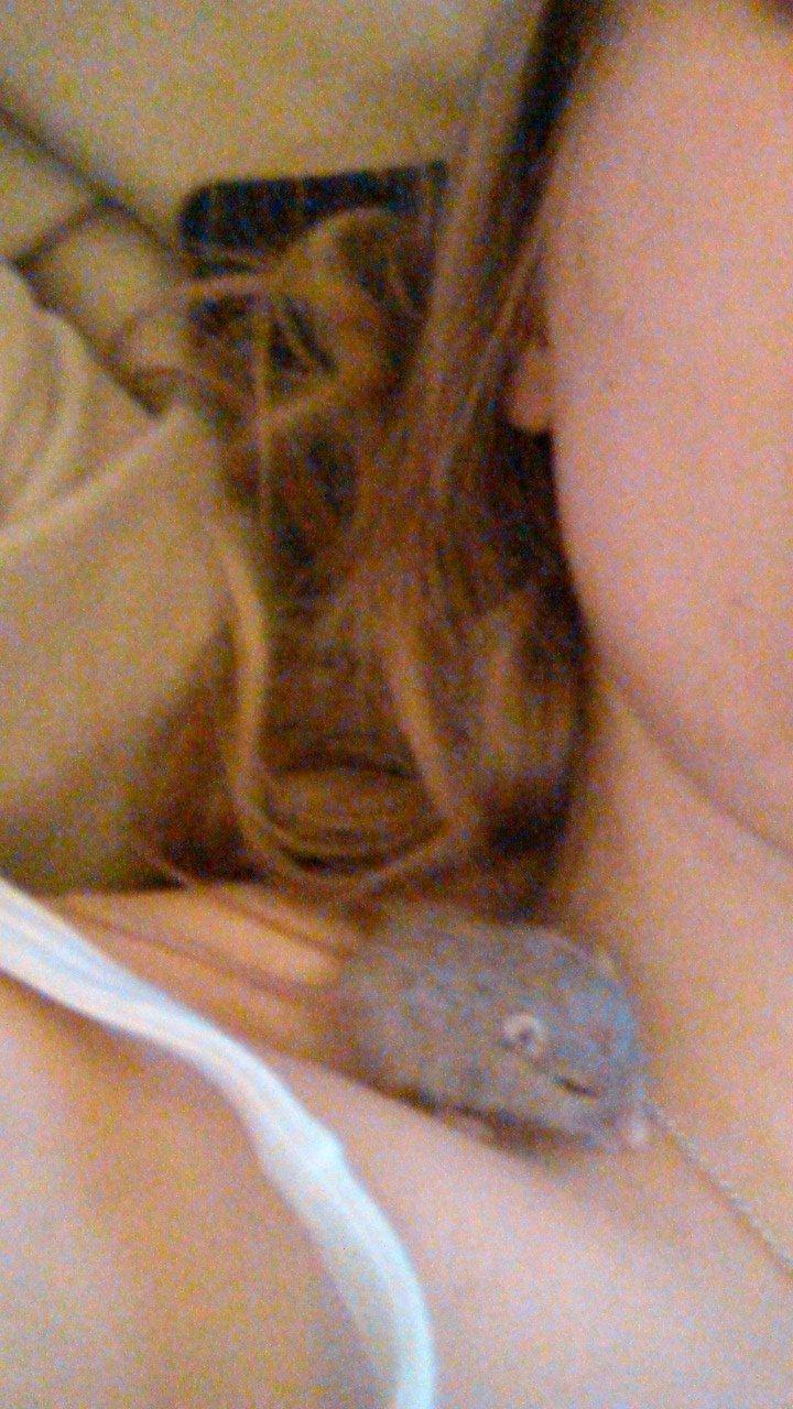 Ørkenrotte Flüte billede 11