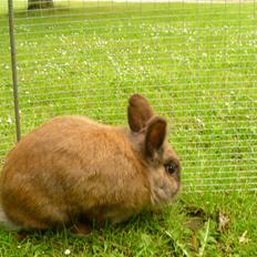 Kanin Doug's Bianca Beach Babe