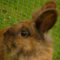 Kanin Doug's Bianca Beach Babe