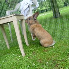 Kanin Doug's Bianca Beach Babe