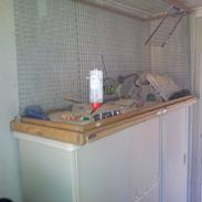 Marsvin Yang. Skinny