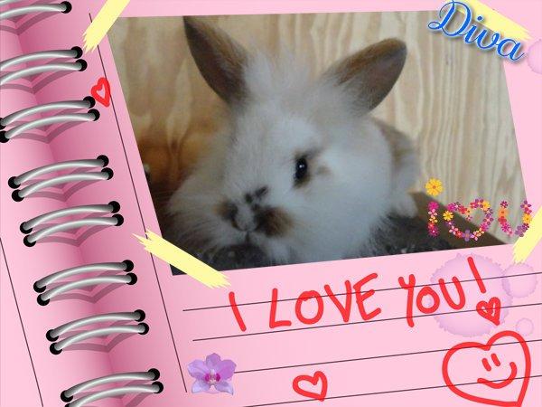 Kanin Nuser drengen <3 (MIN) - Min lille Nuser <3<3 love you! billede 11