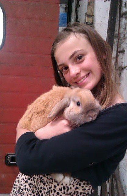 Kanin Buller billede 7