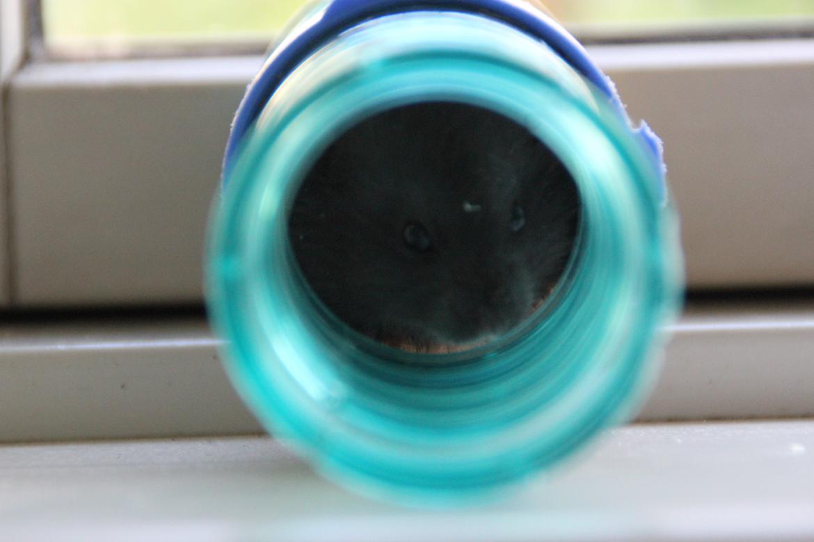 Hamster Batman billede 2