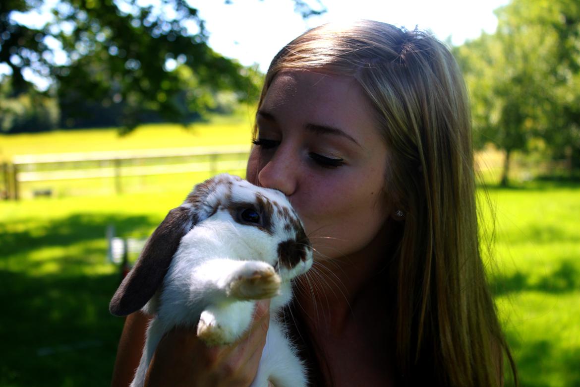 Kanin Winds Jar Jar Binks billede 10