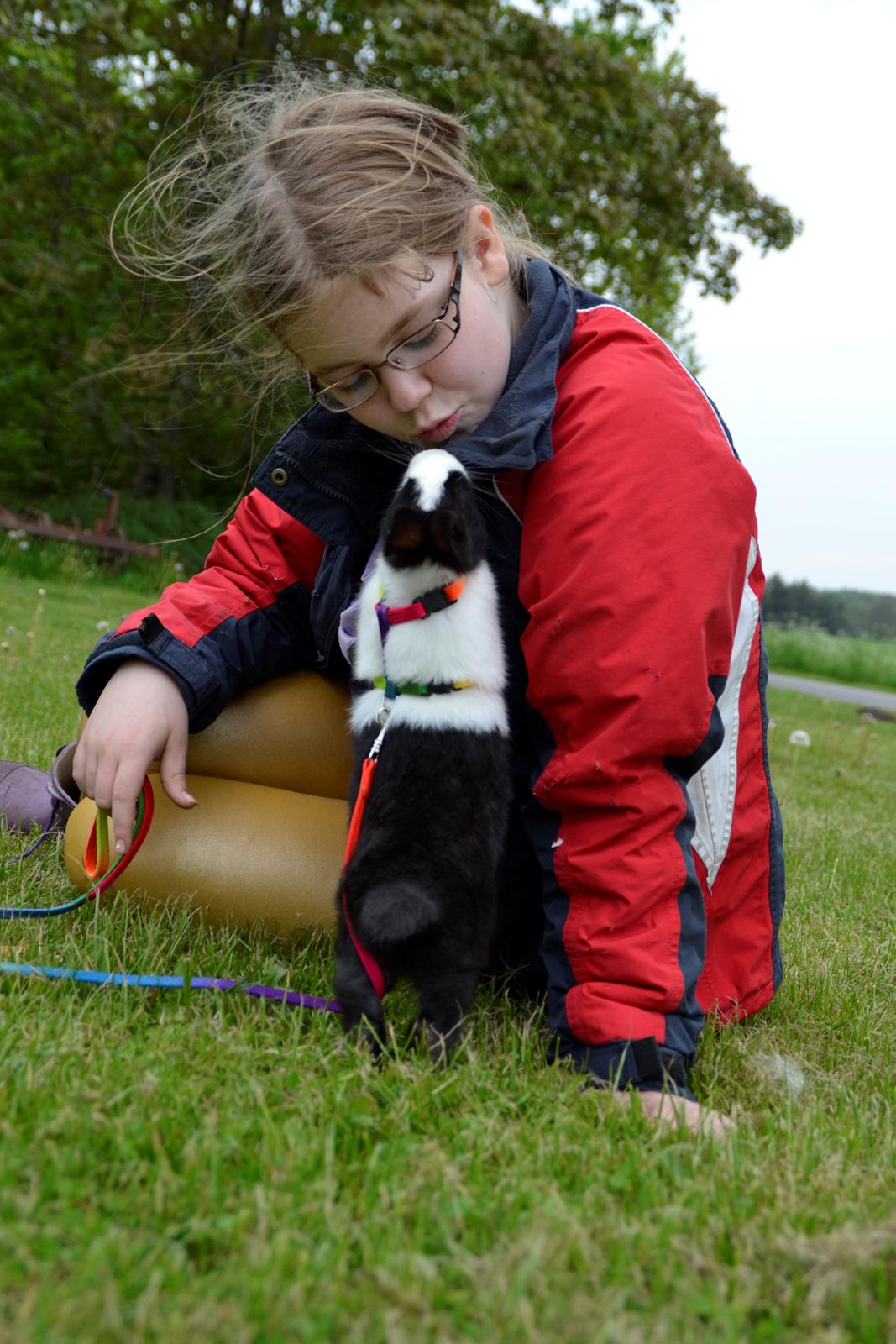 Kanin Surprise Chiaka - Mut Mut. ♥♥
Maj 2012. billede 17