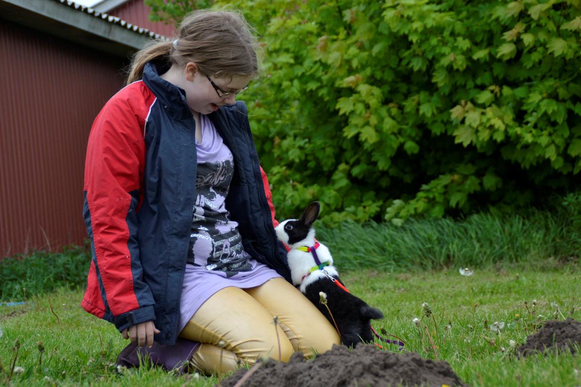 Kanin Surprise Chiaka - Her kan man virkelig se hvor lille hun var. ♥♥
Maj 2012. billede 5