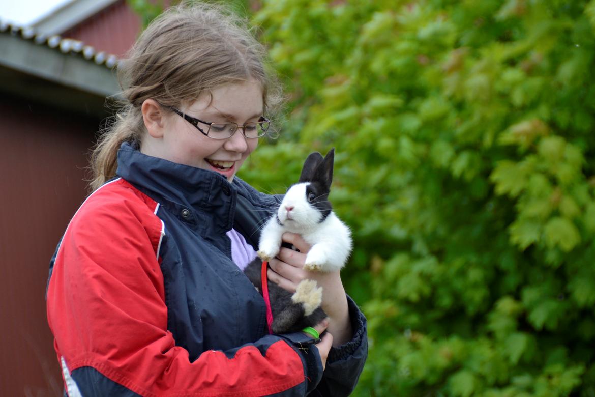 Kanin Surprise Chiaka - Mor&Baby. ♥♥
Maj 2012. billede 9