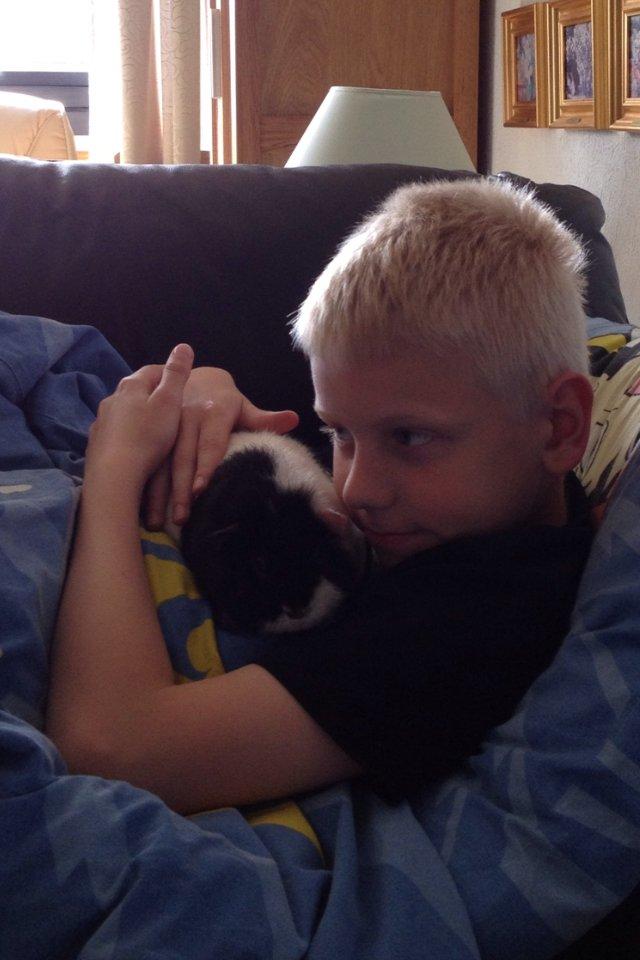 Marsvin panda pjuske (lillebrors) - pjuske og hans ejer min bror laurits :) billede 15