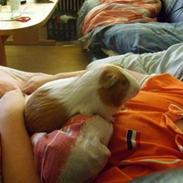 Marsvin Romeo (R.I.P)