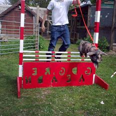 Kanin MARS NIGHT DELIGHT R.I.P