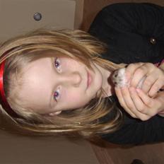 Dværghamster filur(rip)