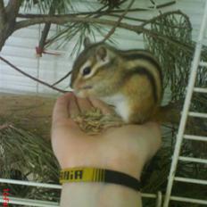 Jordegern Emma/Fiona