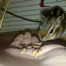 Jordegern Emma/Fiona