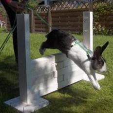 Kanin Beders After Eight