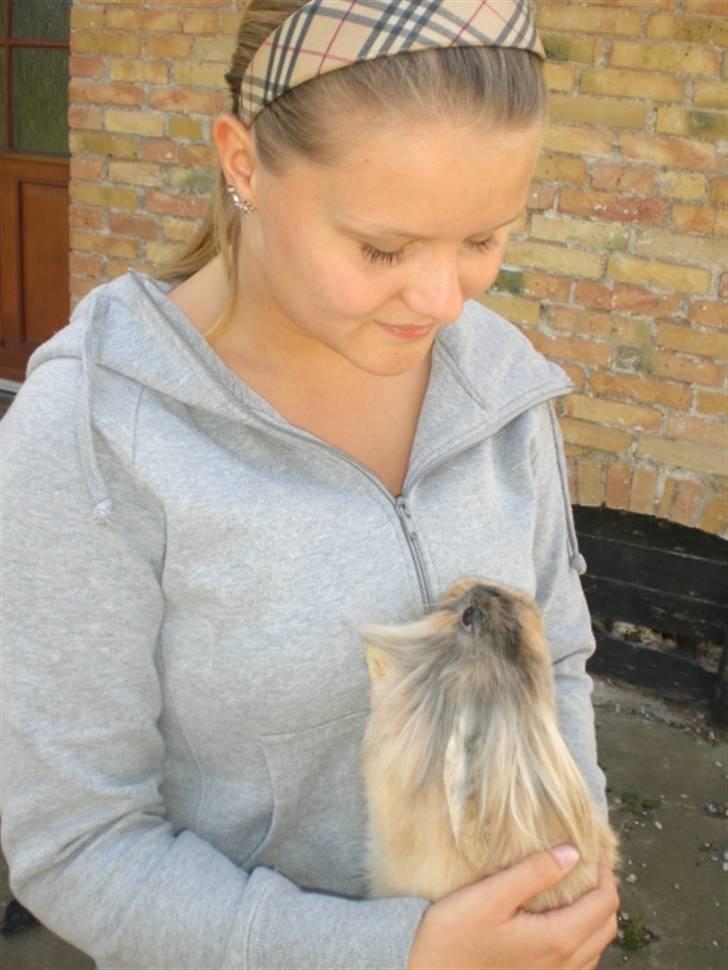 Kanin Bailey billede 5