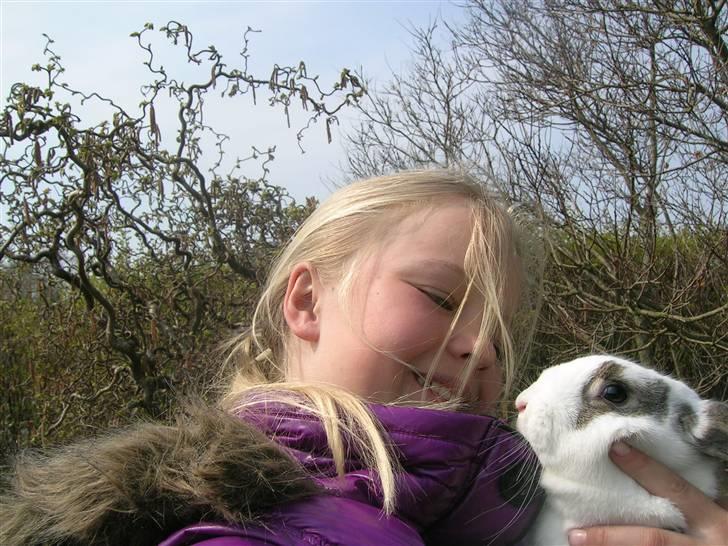 Kanin Sofie<3 givet væk:/ billede 11