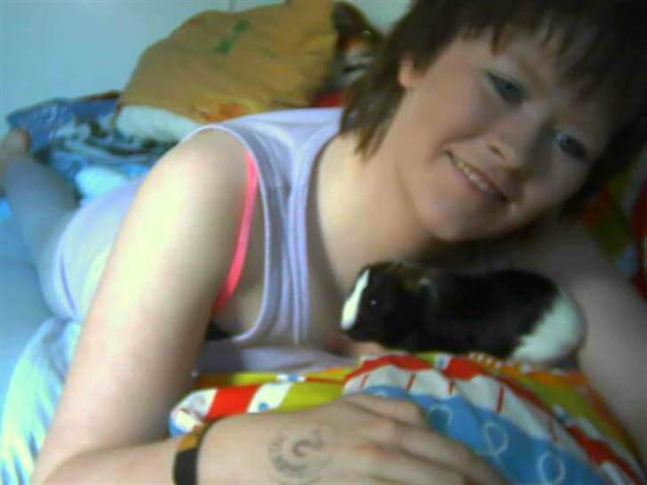 Marsvin Marhcuz billede 5