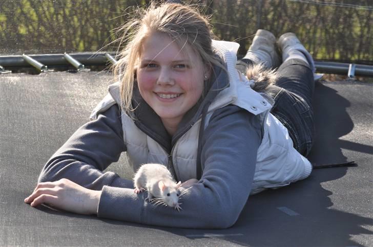 Tamrotte Baby Ratz Joyfull *Aflivet* - nuurh hvor er vi dog søde! billede 10