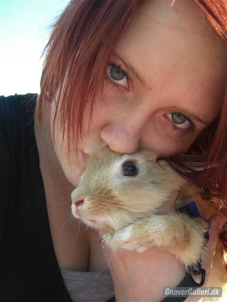 Kanin Wimse billede 1