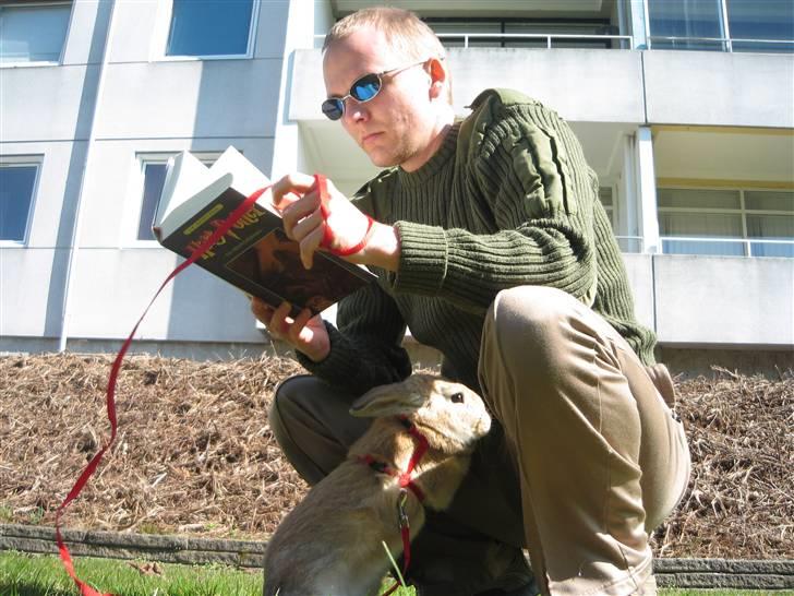 Kanin Molly *RIP* billede 10