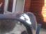 Kanin Hop`s Jeppe