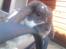 Kanin Hop`s Jeppe