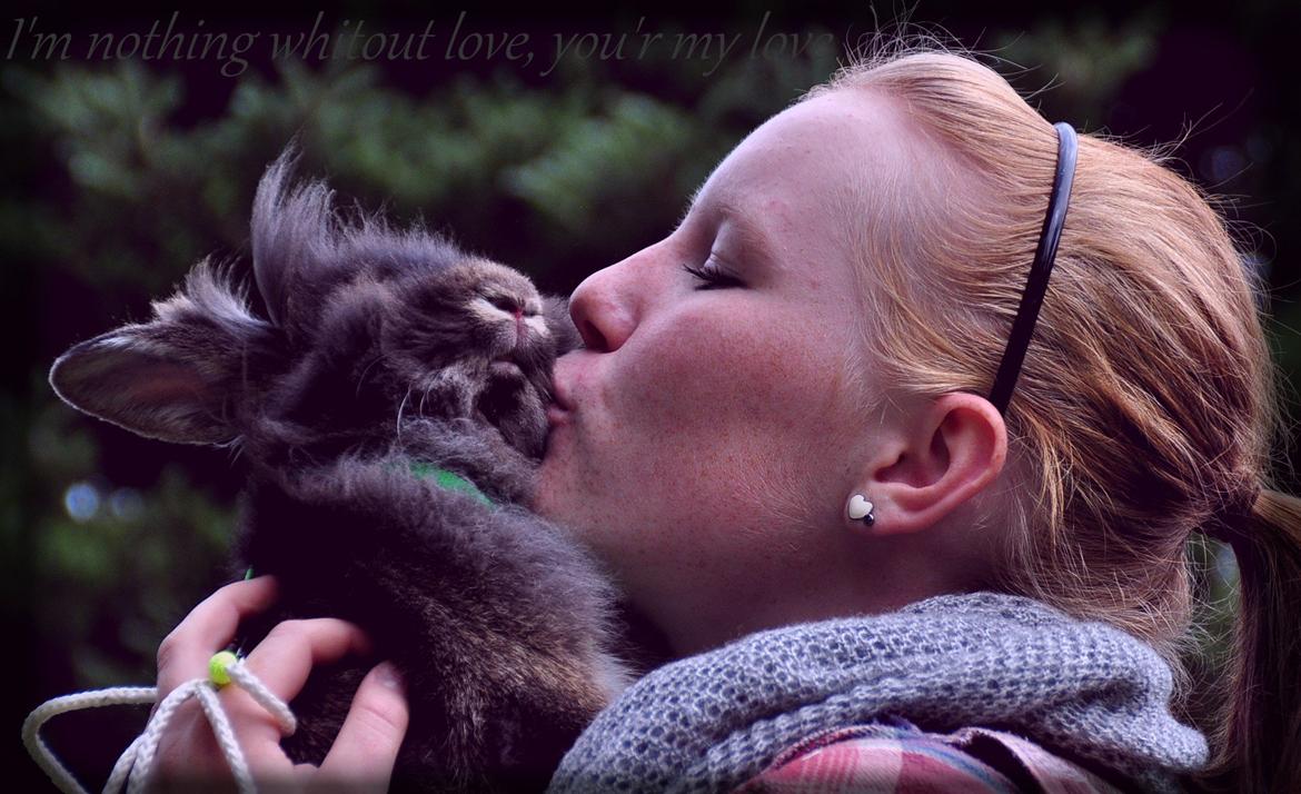 Kanin |Kaninbandens Donkey aka. Hippien - D. 8/8/12 "I'm nothing whitout love, you'r my love"
Foto: Cecilie Holst Jørgensen/ CHJ Pictures billede 15