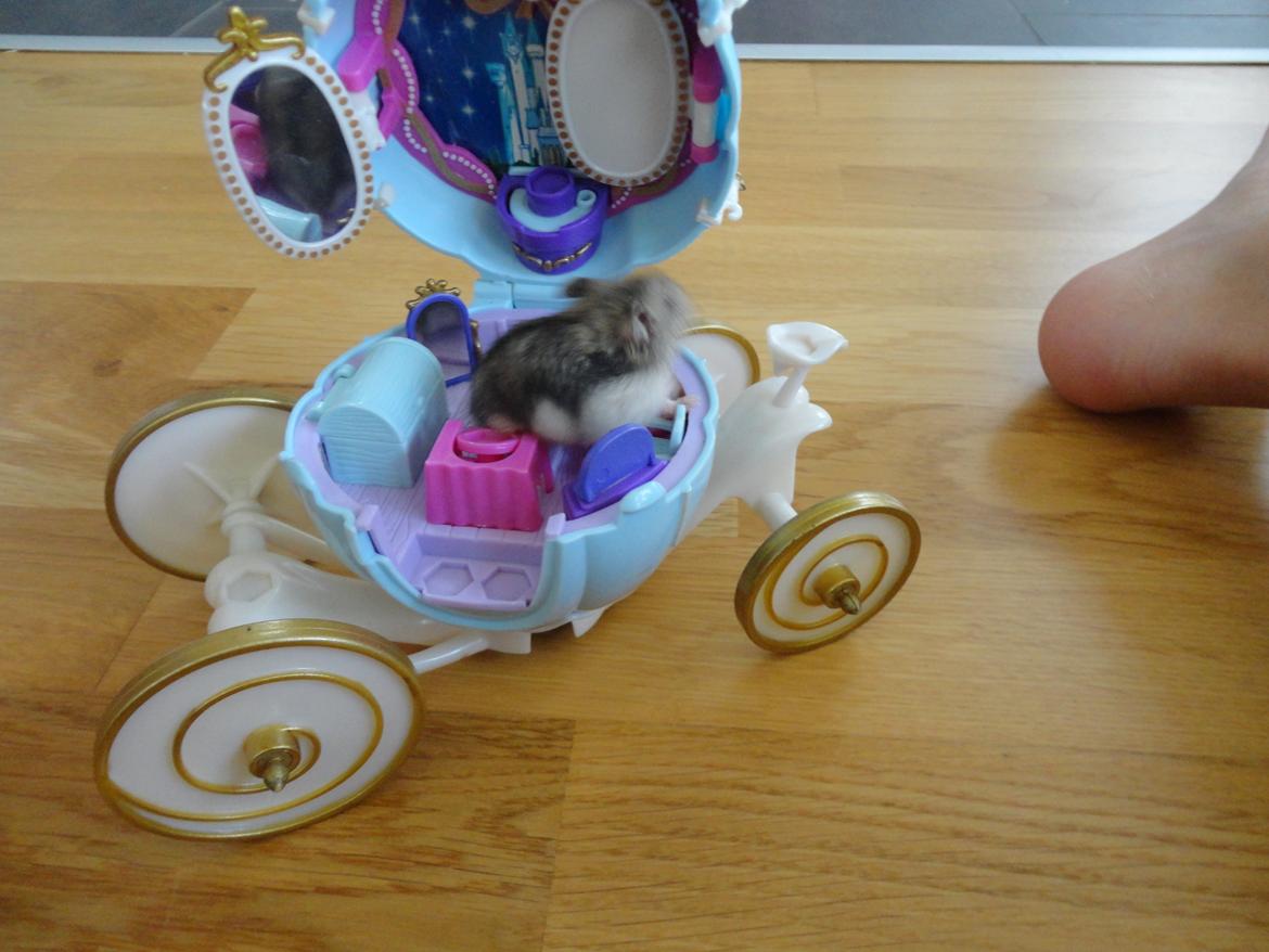 Hamster Nugga billede 3