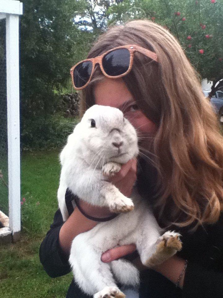 Kanin Fine billede 2