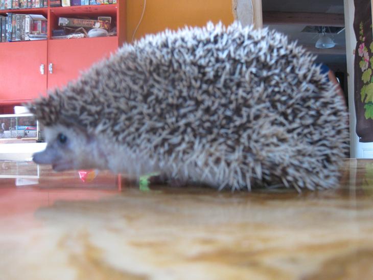 {{currentPhoto.altText}} billede {{currentPhoto.number}}