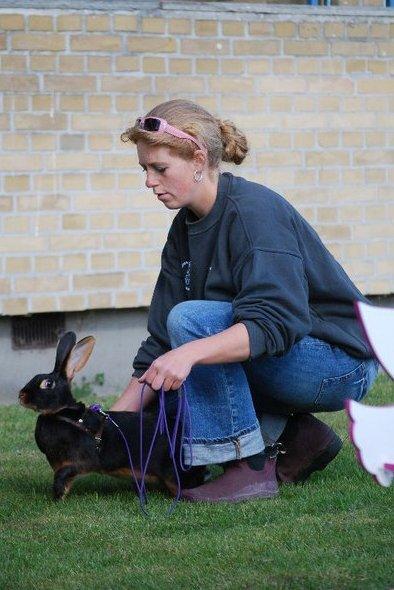 Kanin Elmely Queen Shakira Af Stald Mølgaard - Klar til start på Elite Lige i Skanderborg billede 7