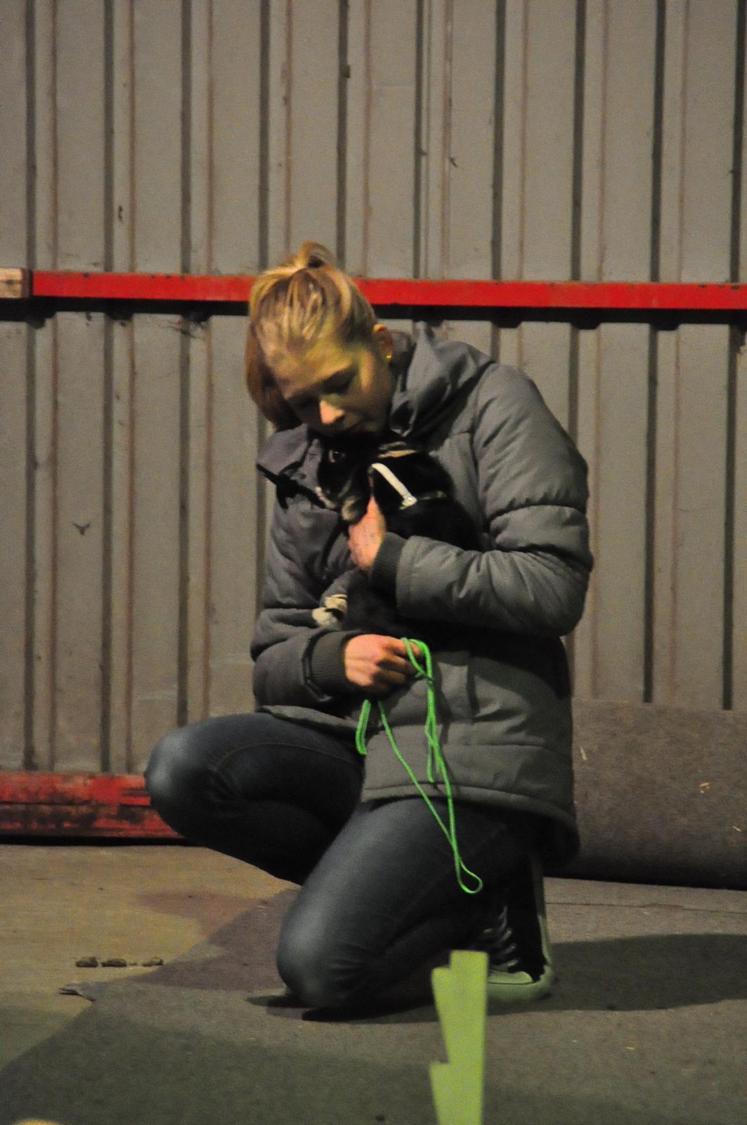 Kanin |Kaninbandens Playmate - Camilla og Play til Let Lige i Haderslev:) Foto: Schmatz Photography  billede 4