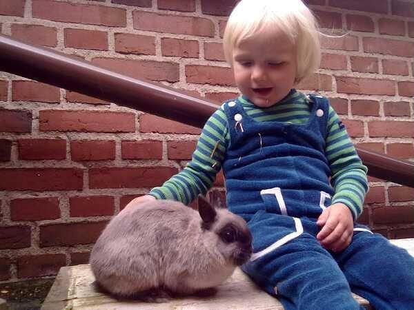 Kanin Isabella - Isabella med min datter  billede 7