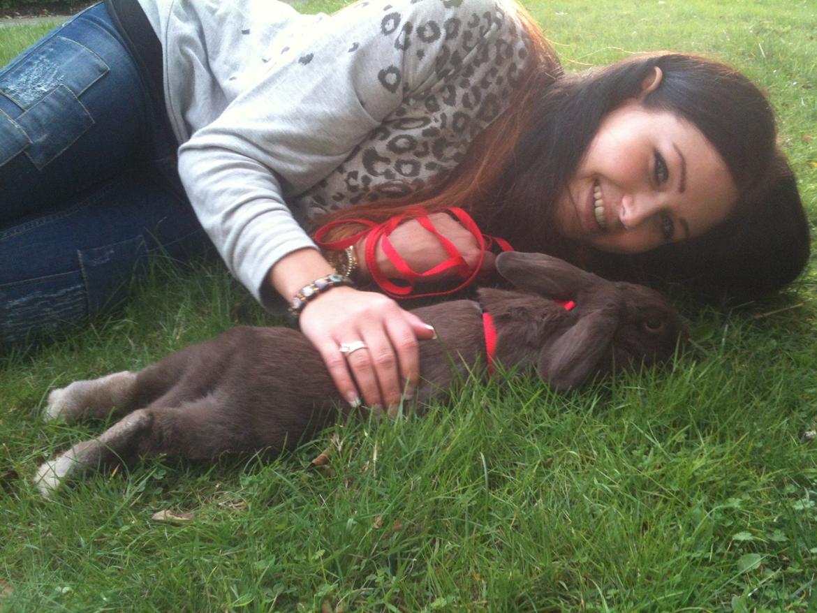 Kanin Coco (Chanel) Diva* billede 5