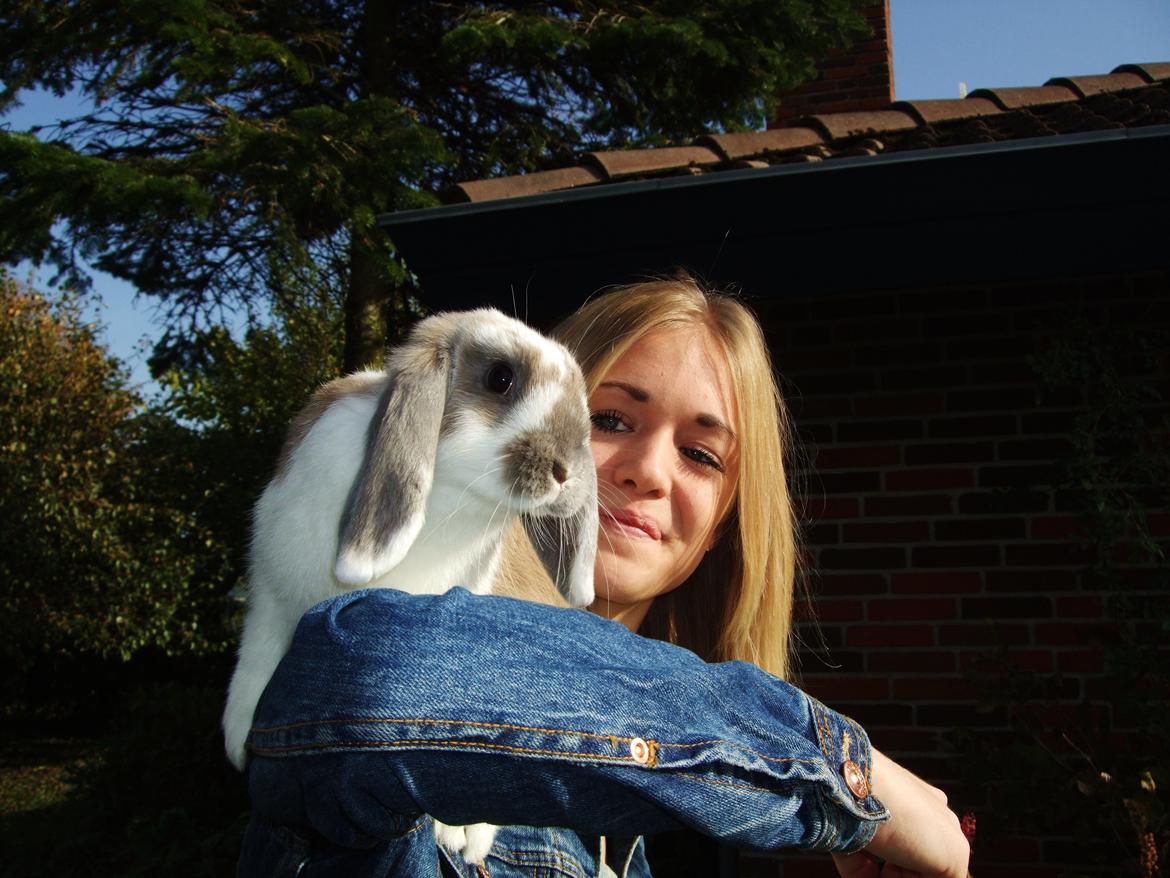 Kanin Enilec Kavia Baked Alaska billede 1