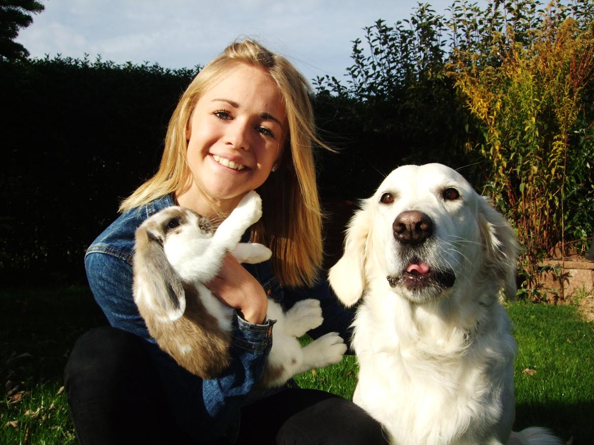 Kanin Enilec Kavia Baked Alaska billede 8