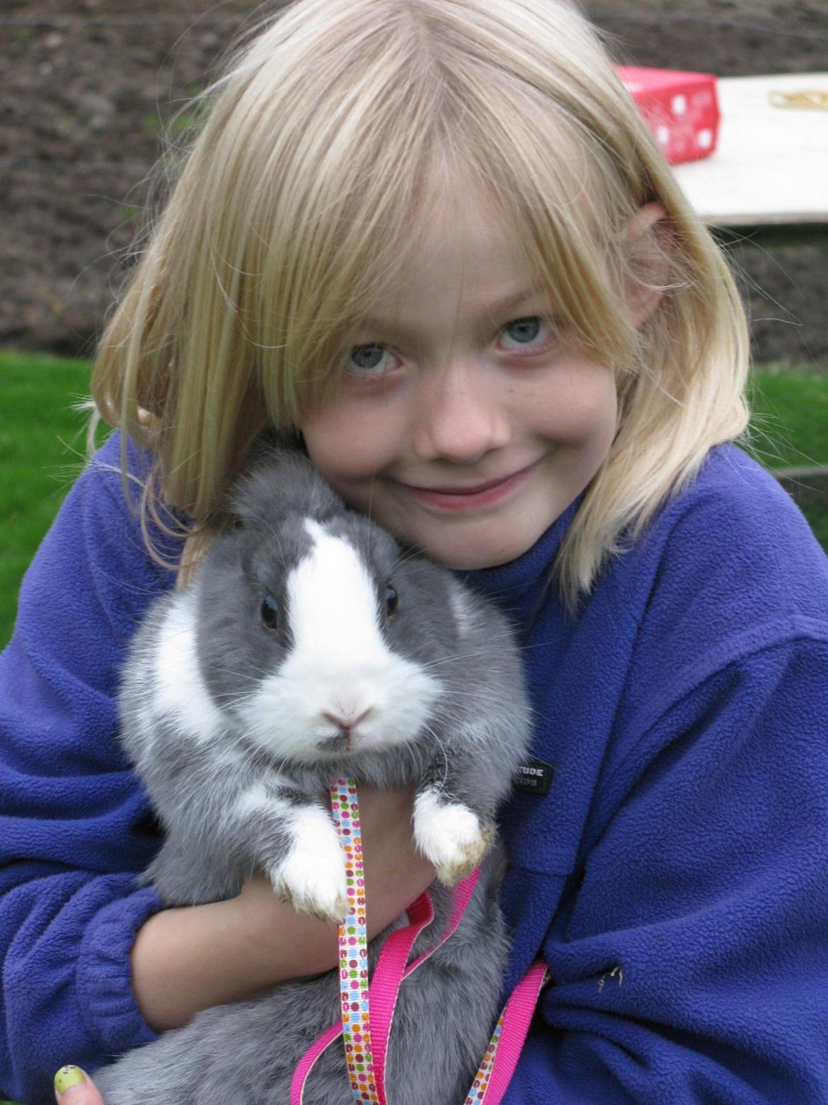 Kanin Pjuske billede 2