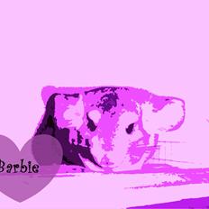 Chinchilla Barbie