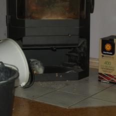 Chinchilla Nica Chin Utopia