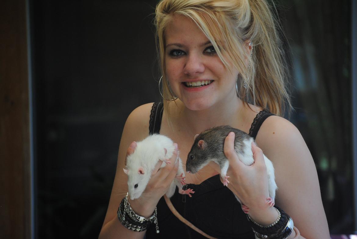 Tamrotte Coda billede 8