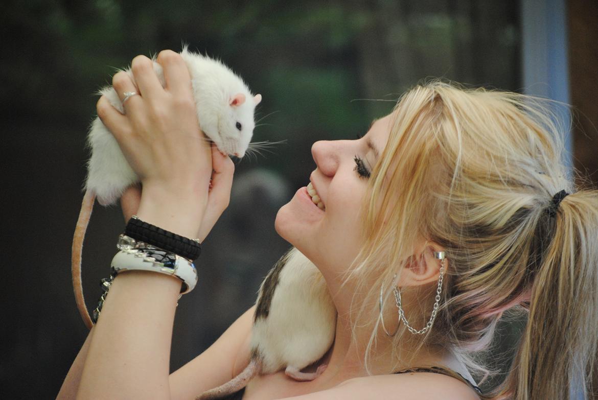 Tamrotte Baby billede 2