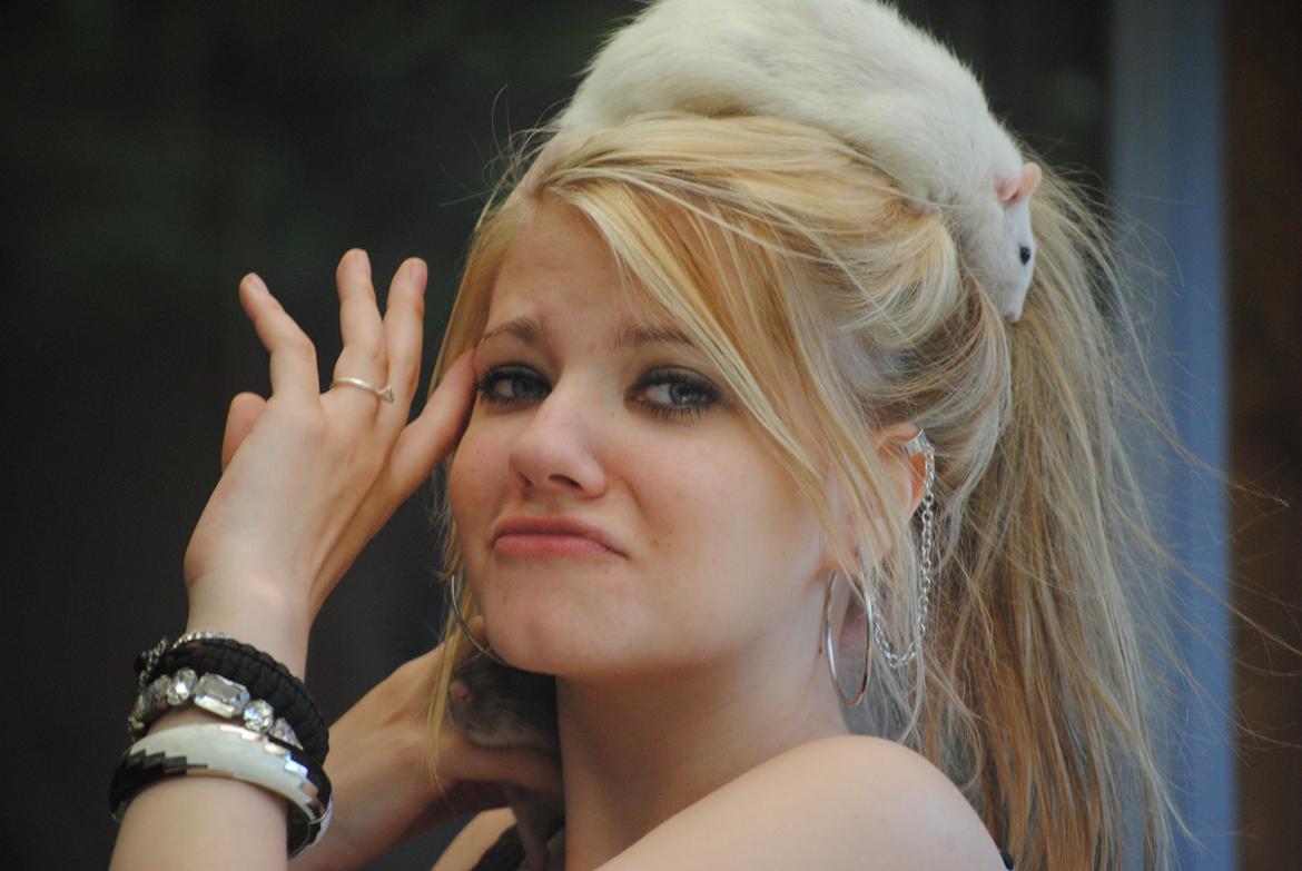 Tamrotte Baby billede 7