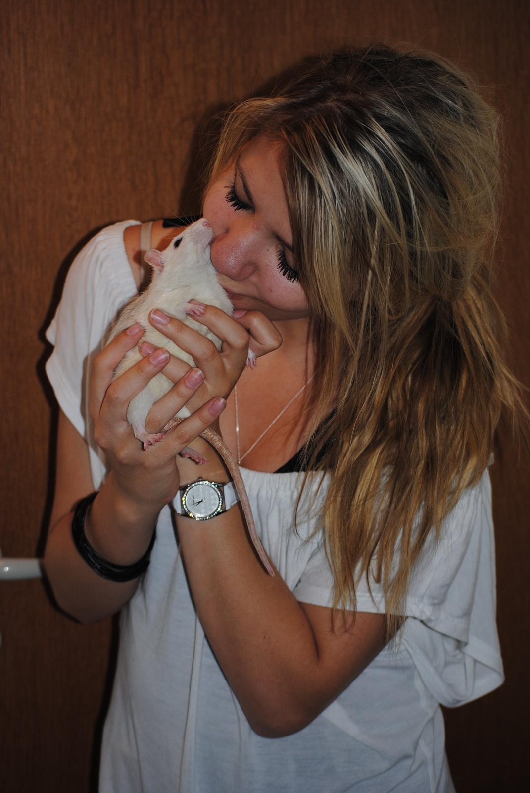 Tamrotte Baby billede 9