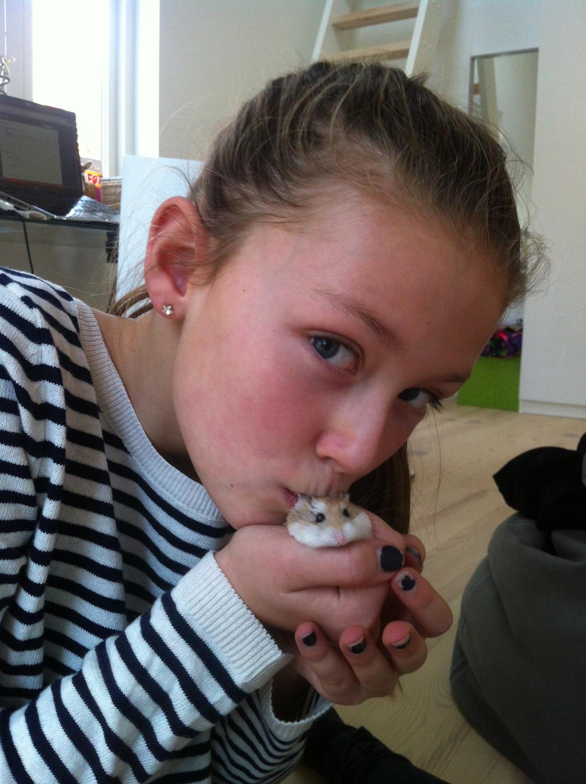 Dværghamster Ole - Møøs! billede 3